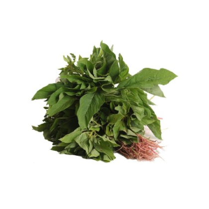 1Bunch Lengalenga green Amaranthus