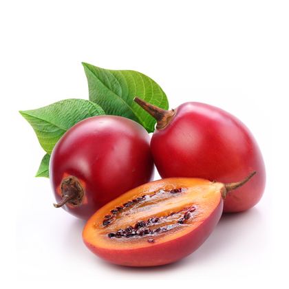 Tree Tomato (1kg )